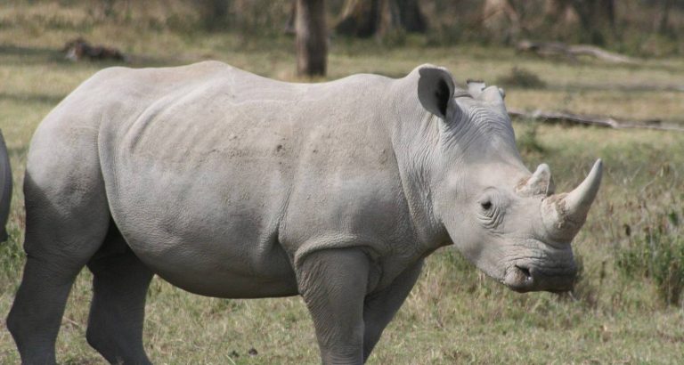 198938_5eb40602768b1-3183017150