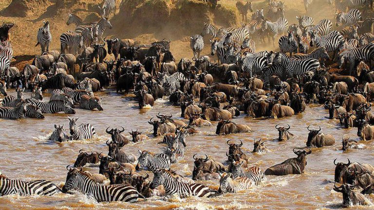 slide3_1024x576-4096085480